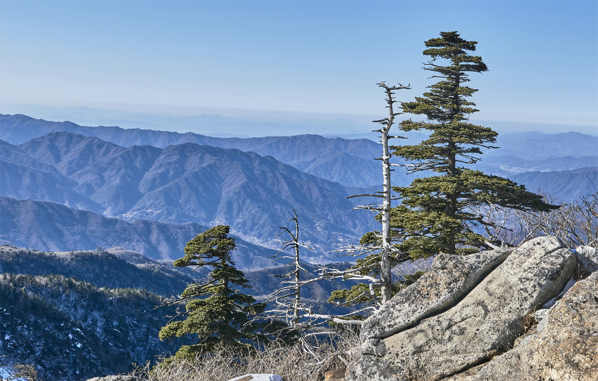 Jirisan Mountain