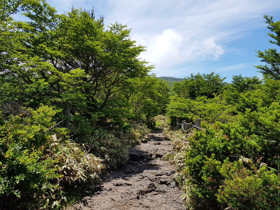 Hallasan Mountain