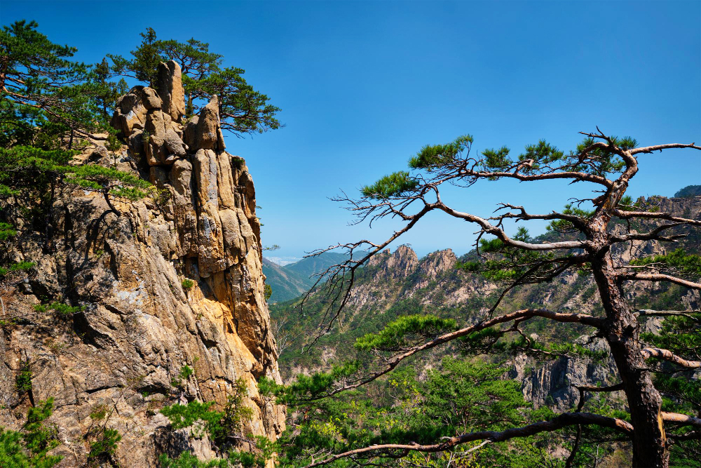 Seoraksan Mountain