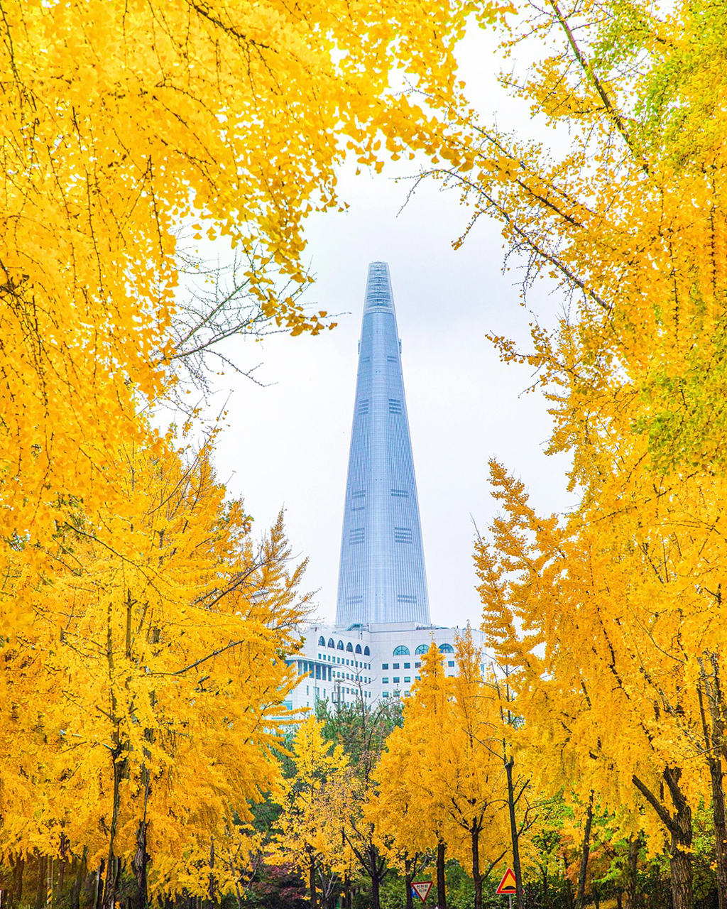 City and Nature