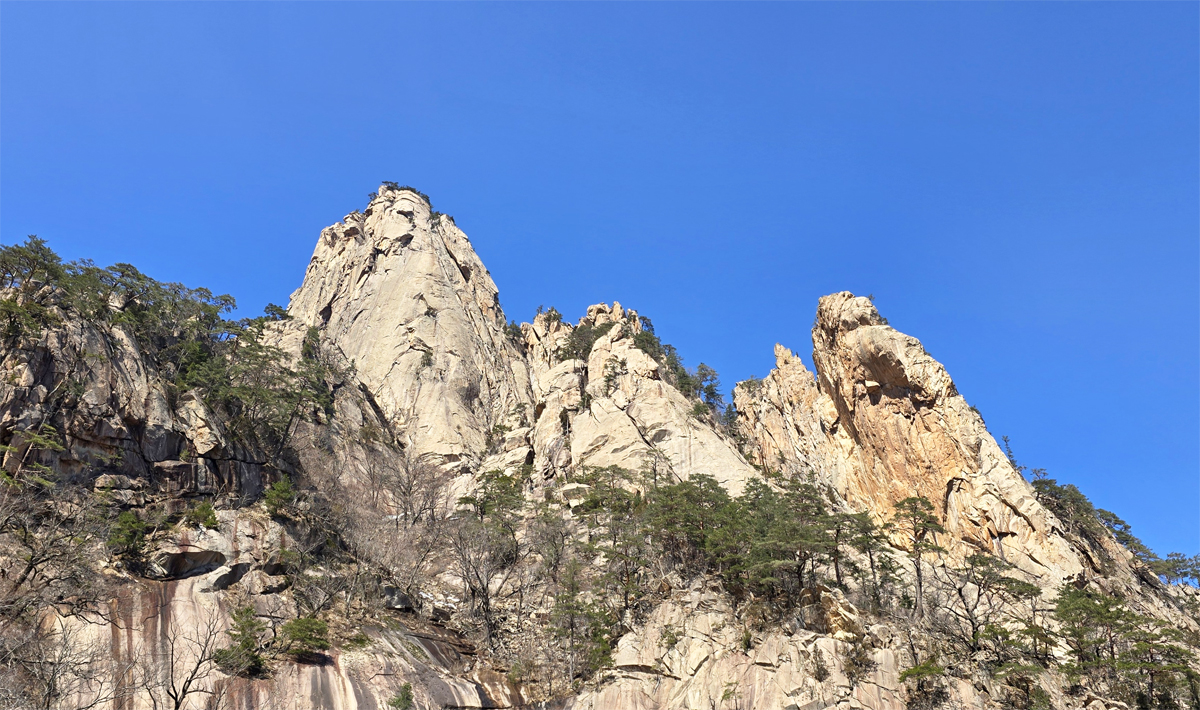 Mountain Trekking