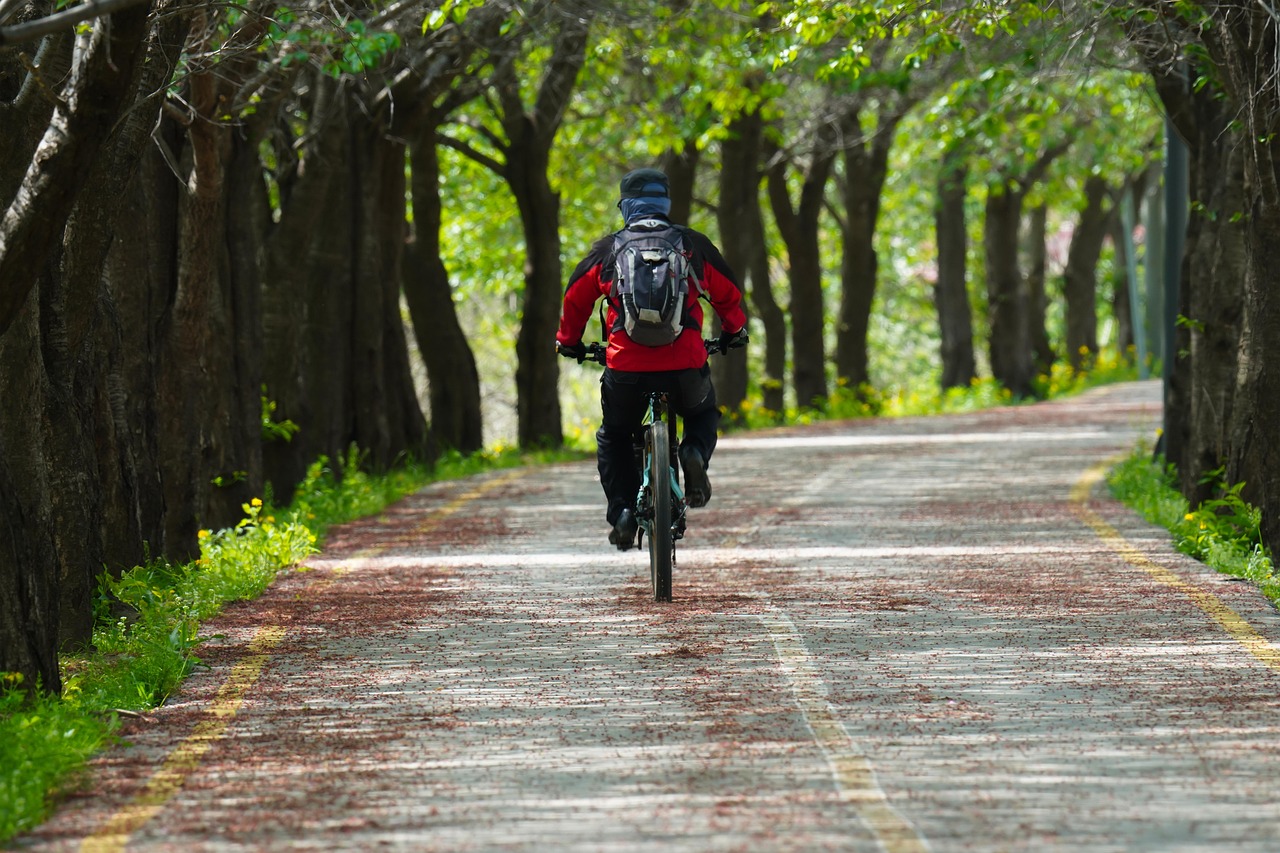 Cycling Route