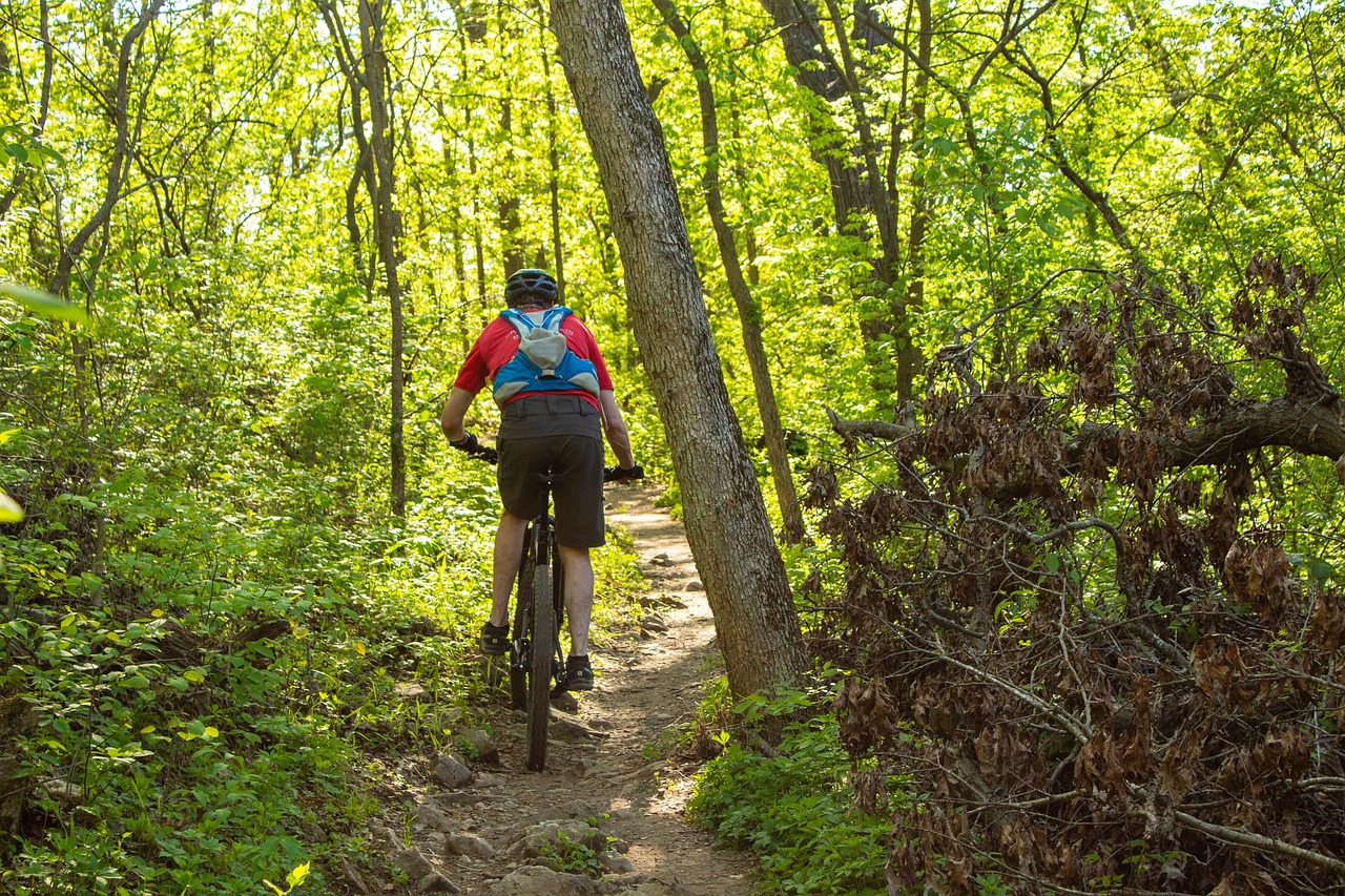 Mountain Cycling