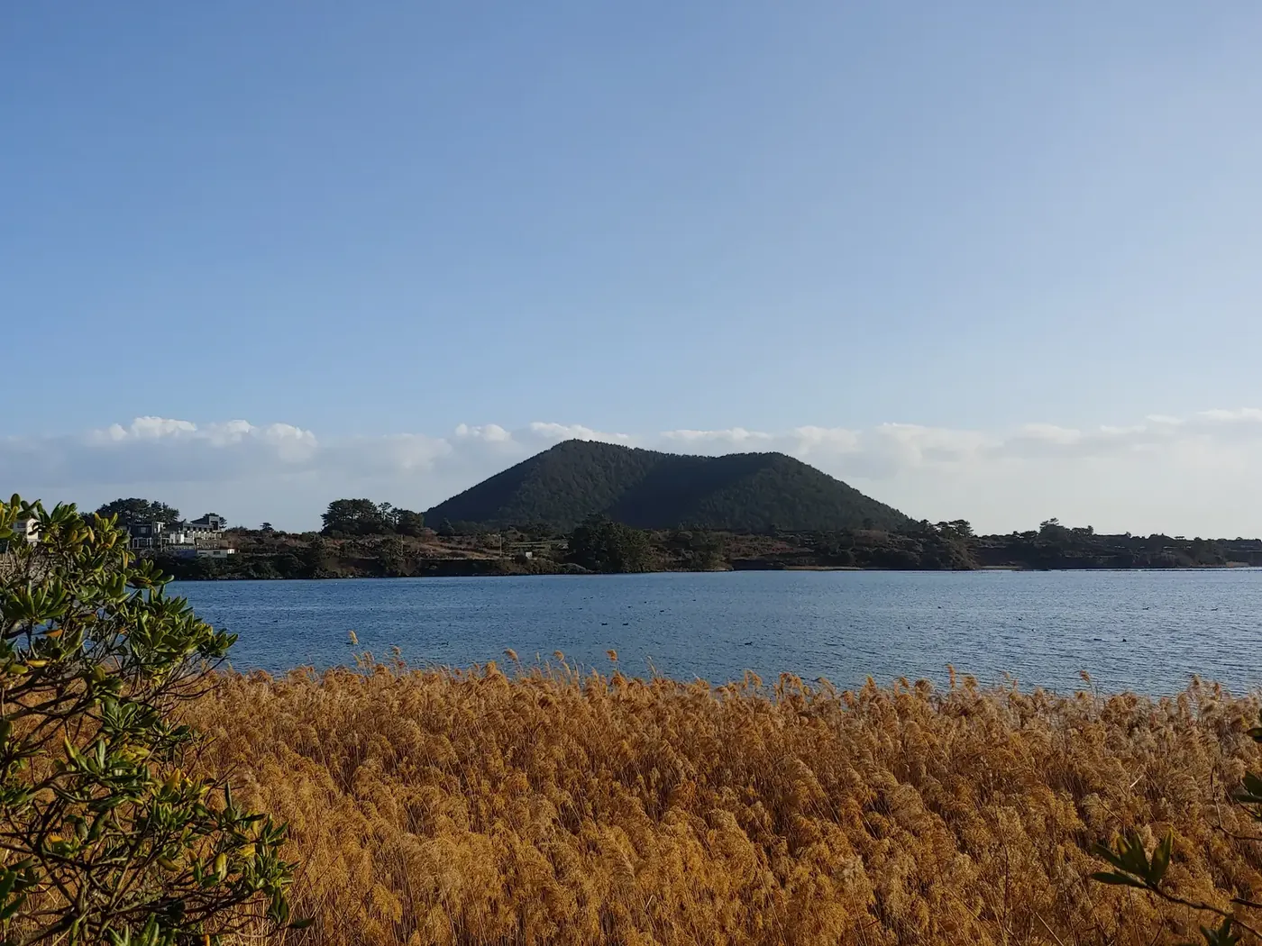 Dry reed beds along the water with a low wooded cone rising behind