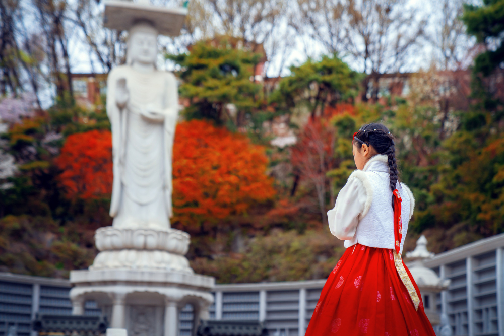 Exclusive Private Tour of Korean Heritage