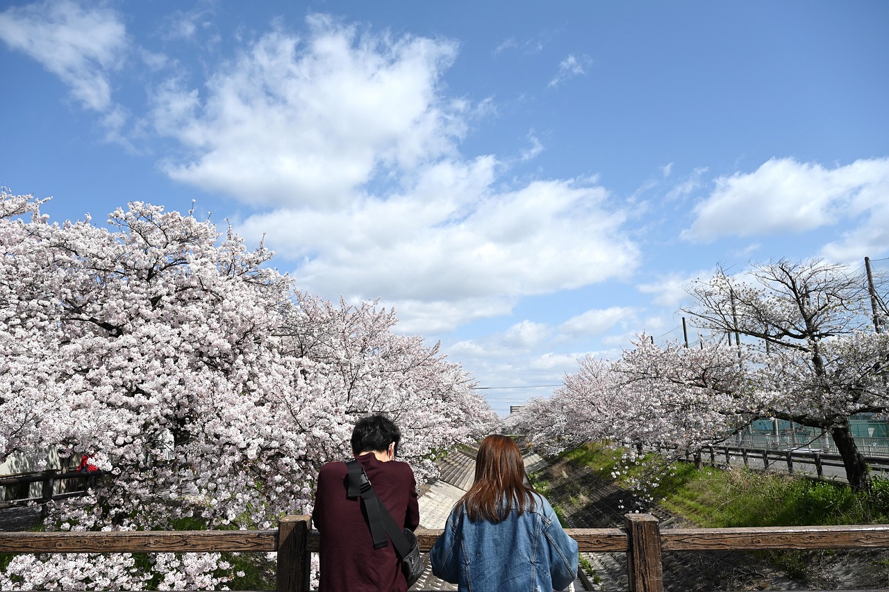 Cherry Blossom Festival