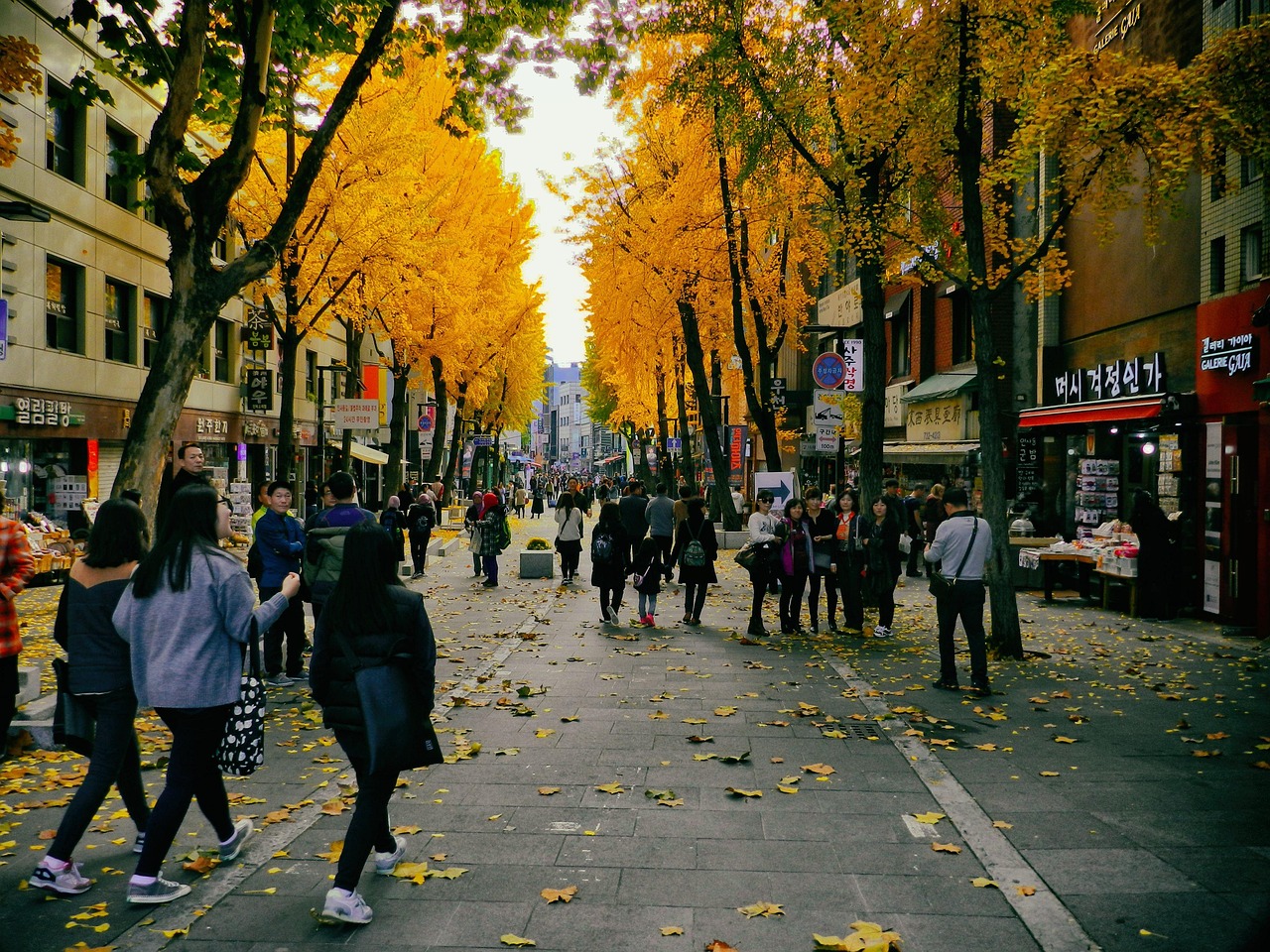 Autumn Culture Tour