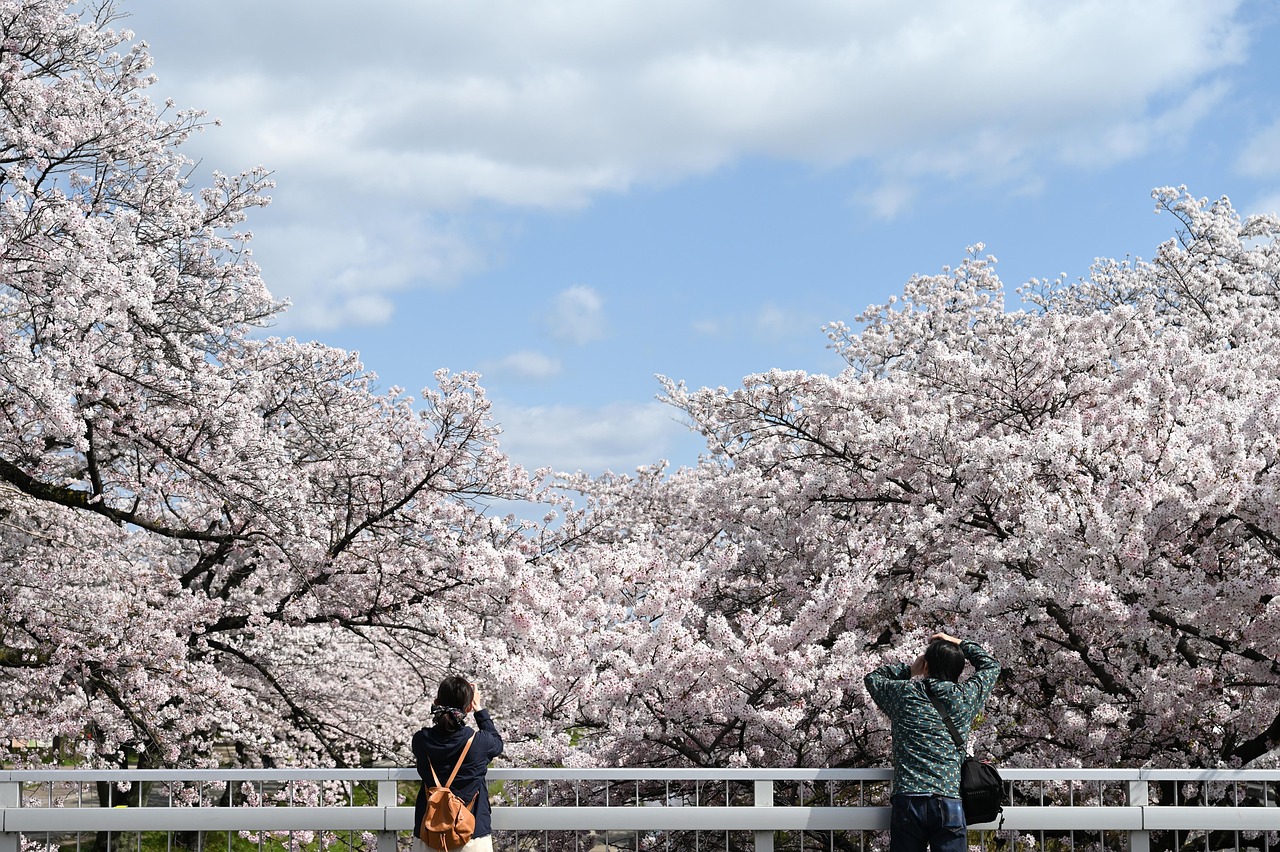 Spring 2