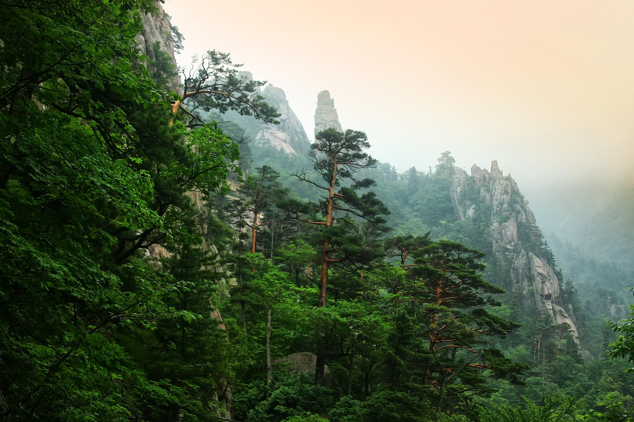 Mountain Views