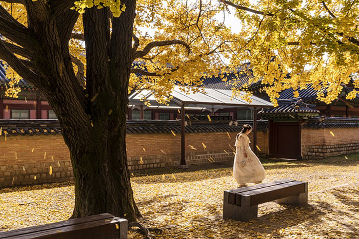 Essence of Autumn