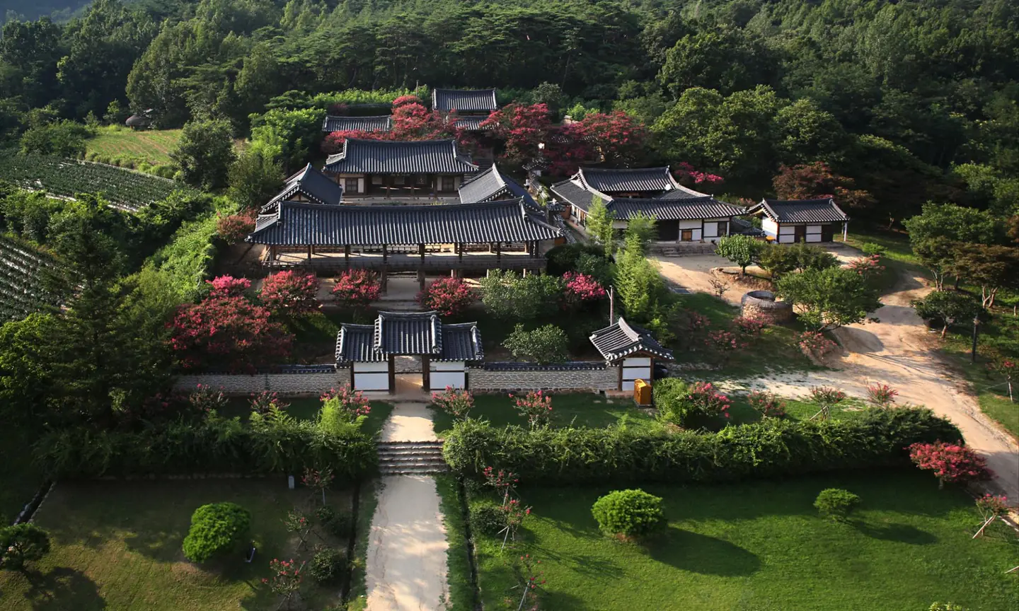 Tiled hanok halls among trees, red blossom lining the courtyard, seen from above
