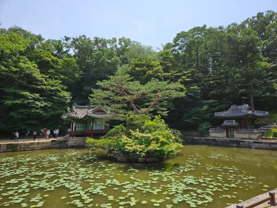 Buyongji pond in the rear garden of Changdeokgung