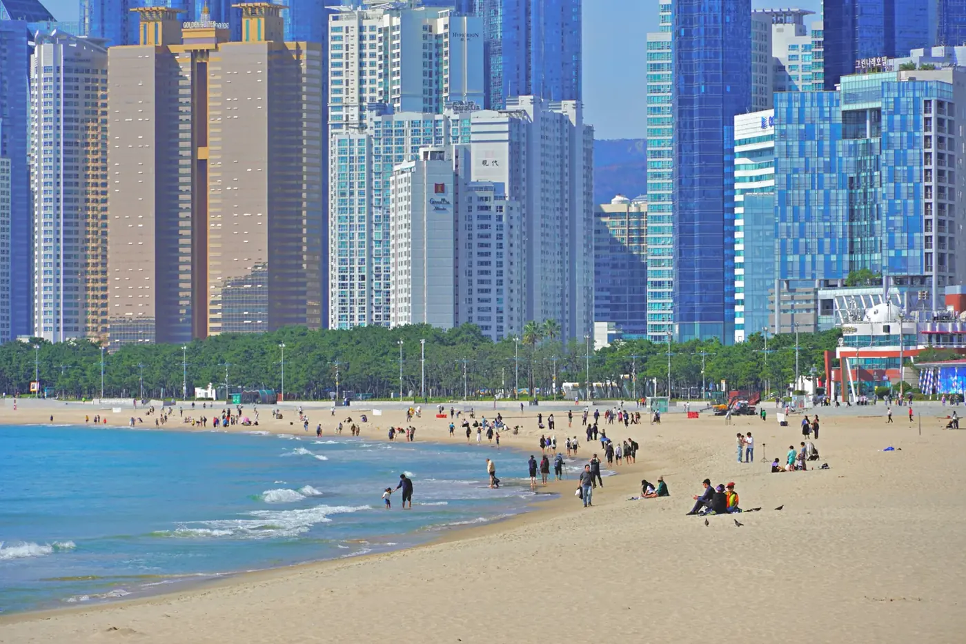 A wide sand beach with scattered visitors below a line of high-rise towers and still-green trees